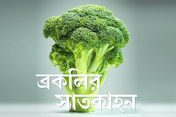 ব্রকলির সাতকাহন